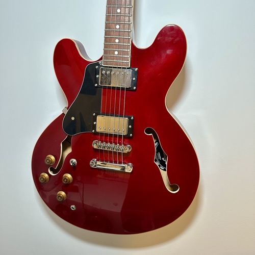 Vintage Guitars VSA500 - Full Body View